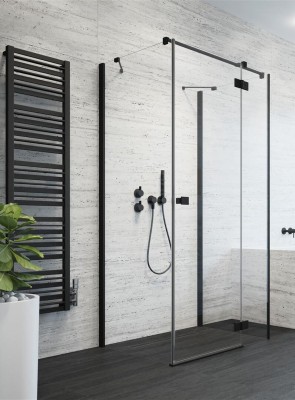 Двери в душевую нишу