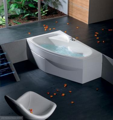 Акриловая ванна ALPEN Mamba 27111 160 L