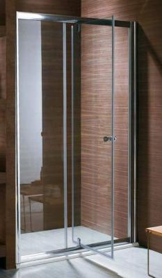 Душевая дверь Sturm Fortuna 110 Fortuna [1100x1900] без поддона