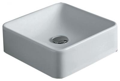 белая или черная