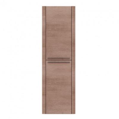 Северный дуб