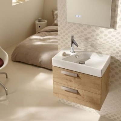 Арлингтонский дуб