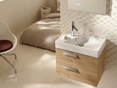 Арлингтонский дуб