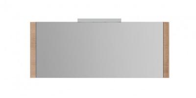 Северный дуб